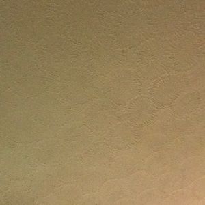 Meet your Posher, Steve